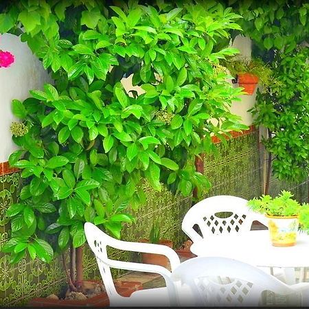 فيلا El Rincon De La Rosa لا ثوبيا المظهر الخارجي الصورة